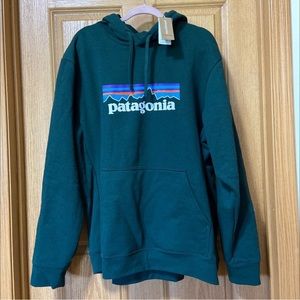 NWT Patagonia P6 logo Uprisal hoody xxl